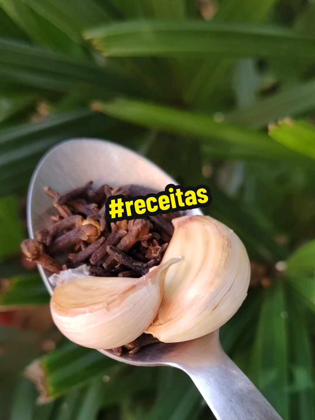 @natureza e saúde