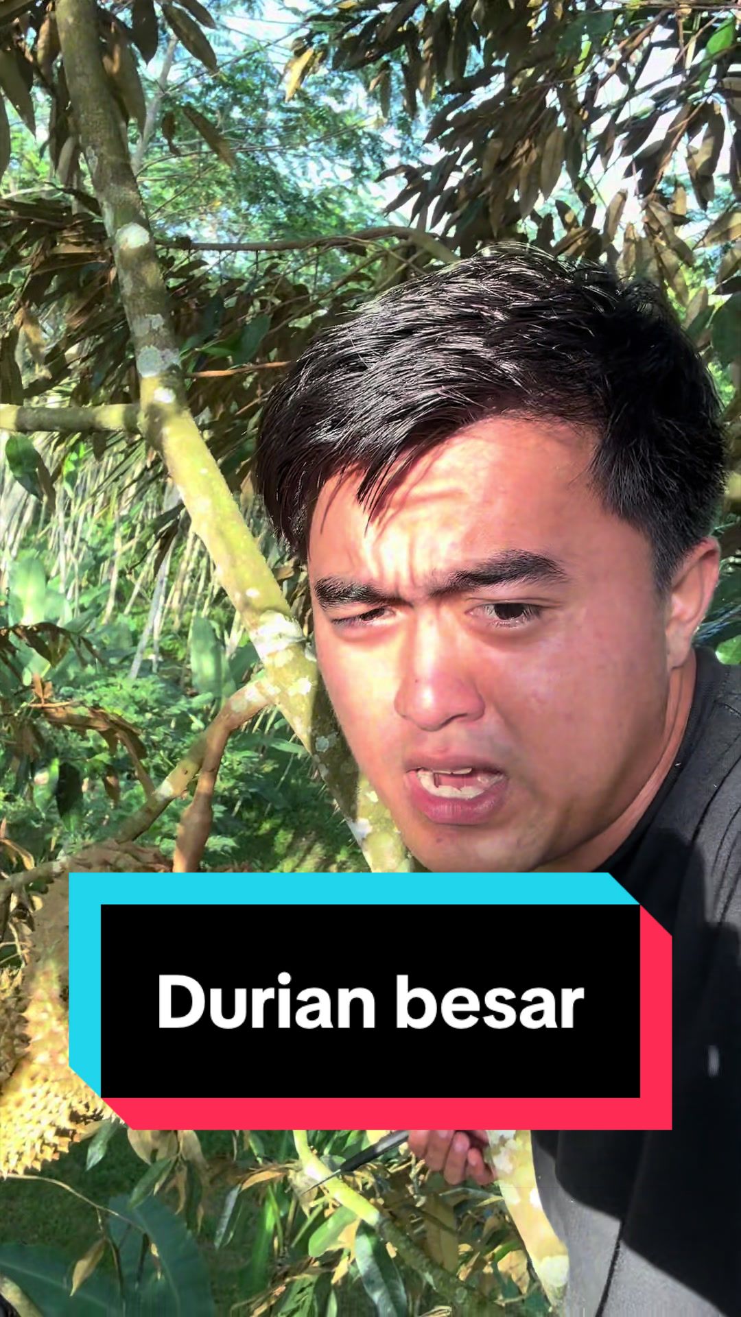 @Doni artawan