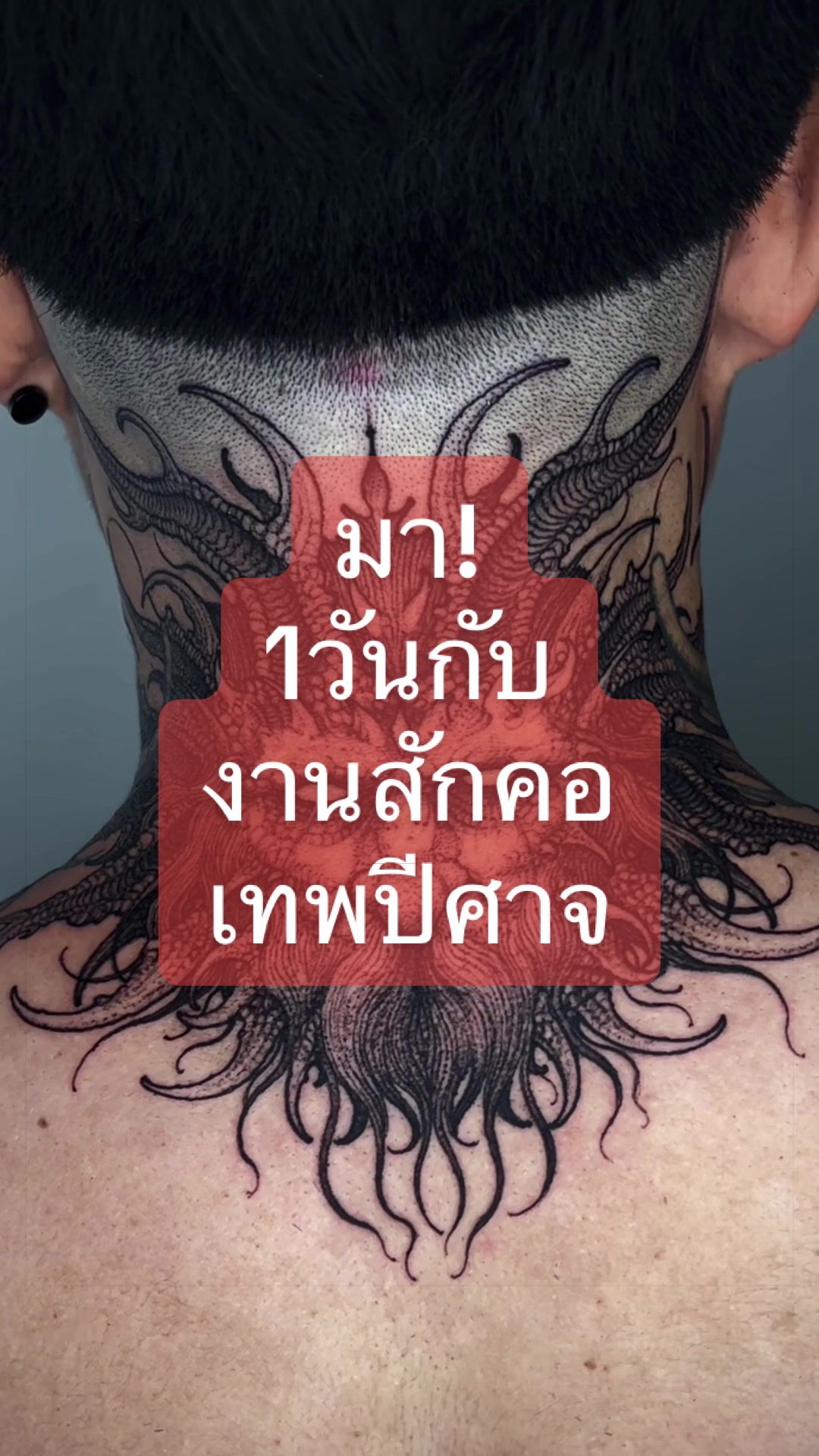 @243tattoo