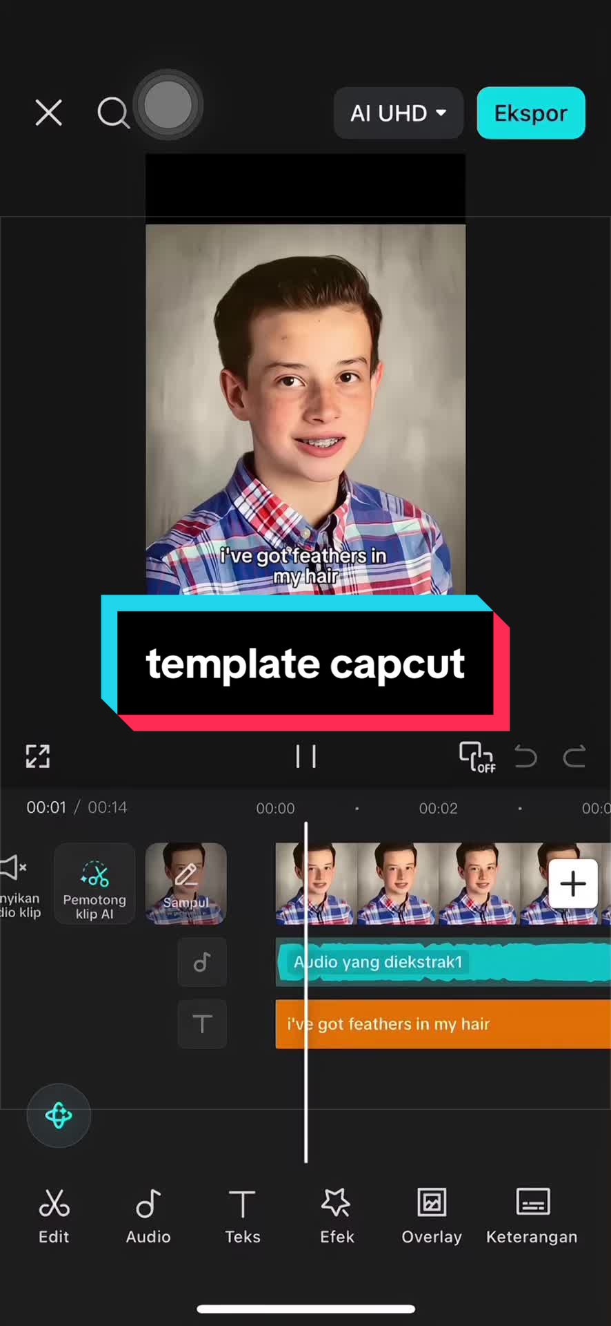 @Vanilla Capcut🎟