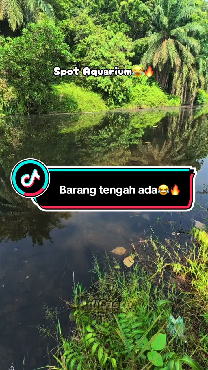 @AdiCasta..