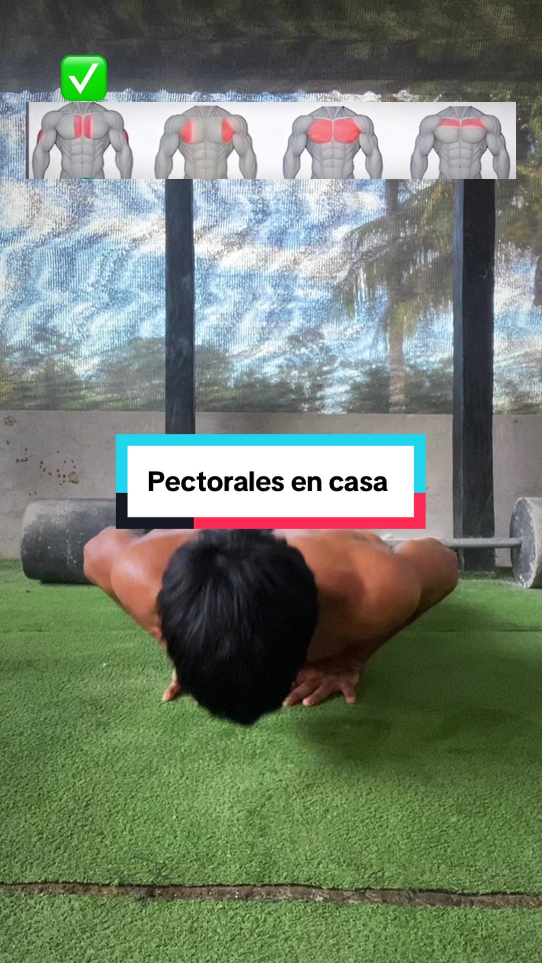 @🩸TINO_FITNESS🇬🇹🇲🇽👑🦋