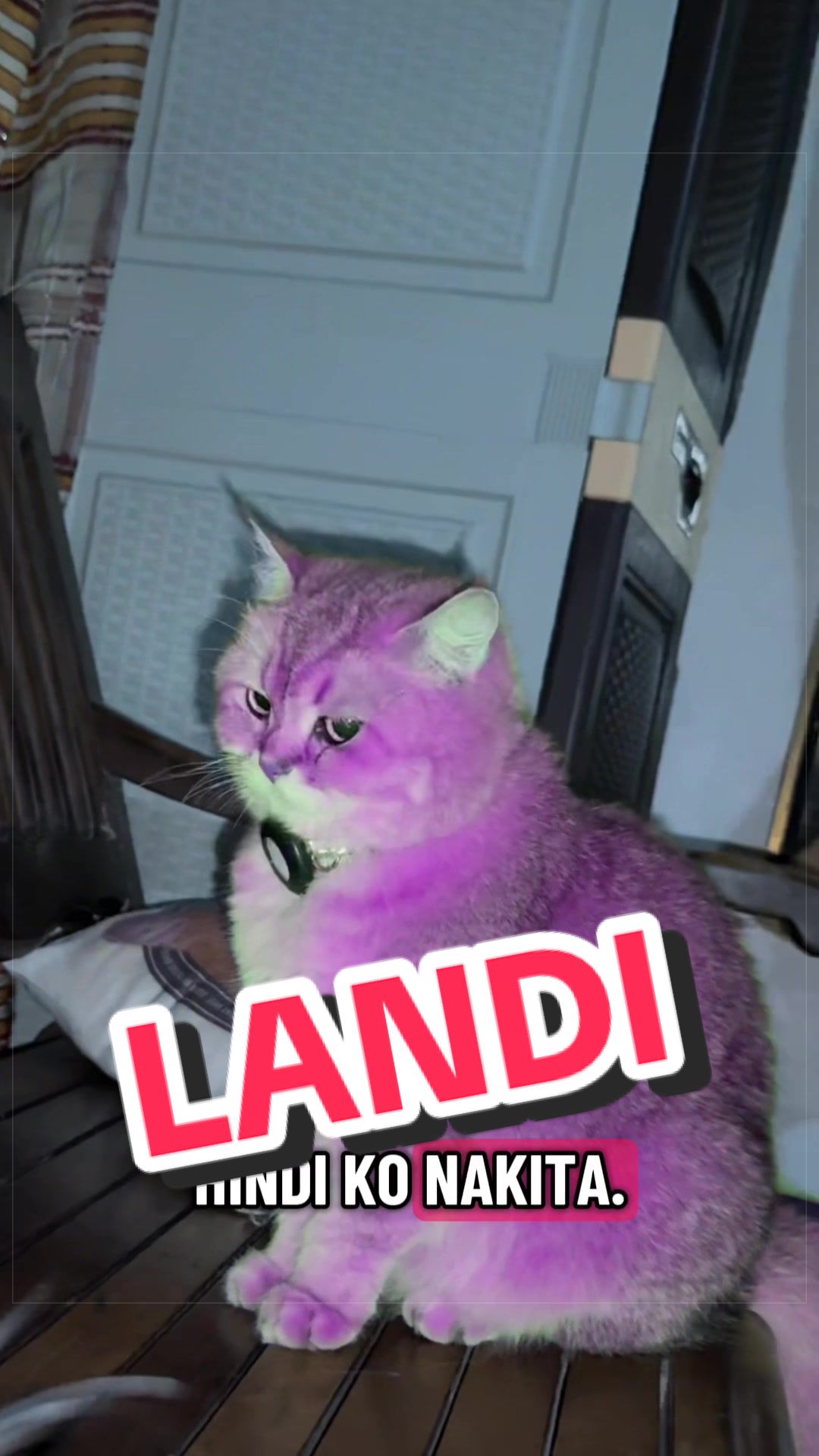 @Leet