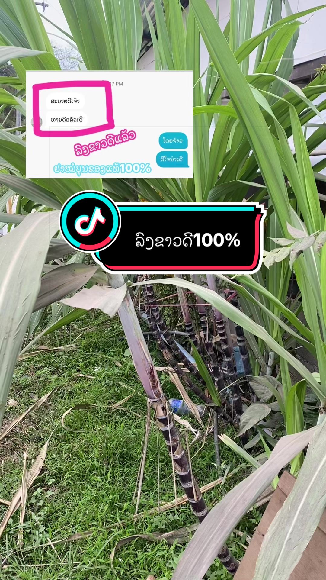 @๐ฆ เบชเบนเบเบเบปเบงเปเบฅเบเบเบดเบ-เบเบฒเบ๐ฅ๐ฟ