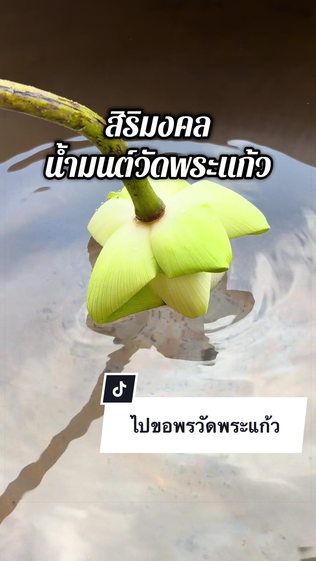 @ปุ๊ว่าอันนี้ดี💆🏻♀️💄🍰🌱