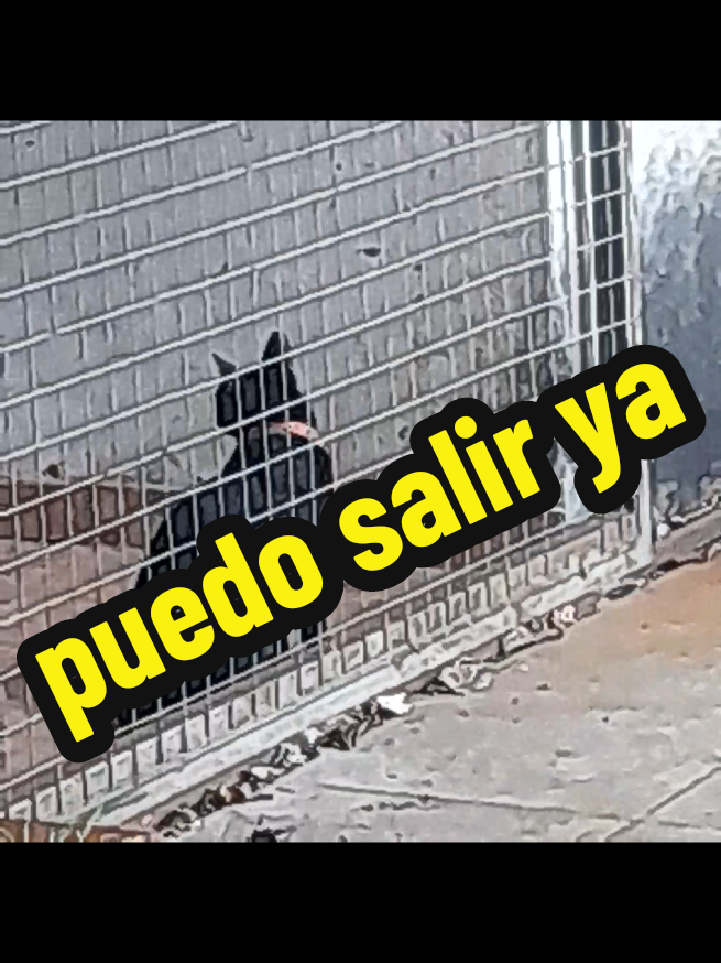 @Cesar Dominguez