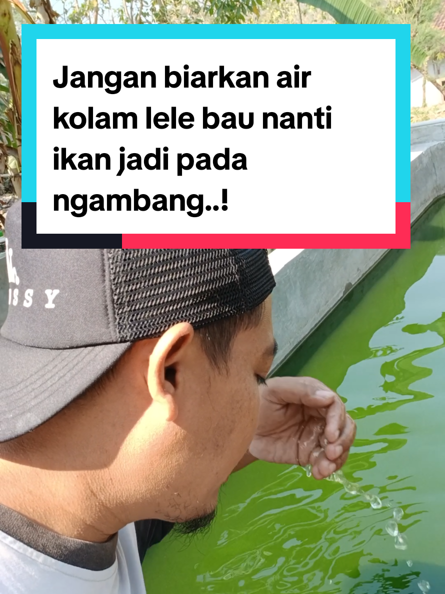 @Kang_Ewi