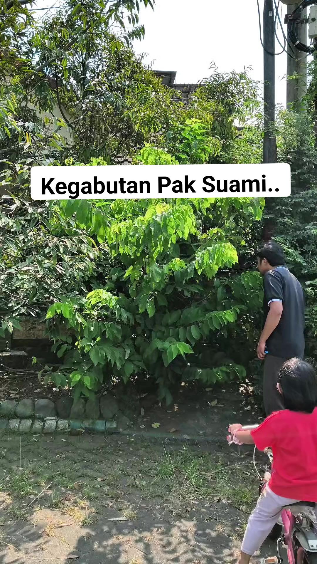 @Ladin Ecofarm