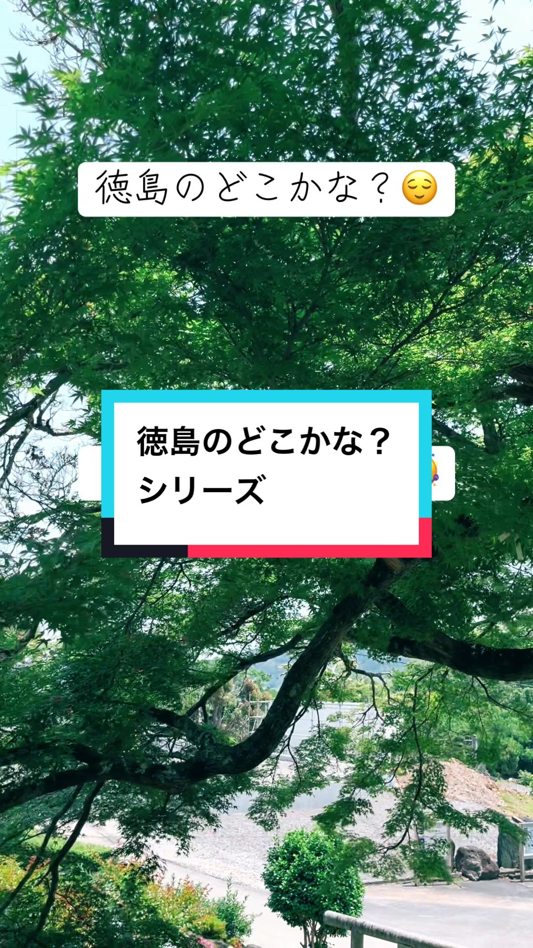 @はな🌼*・