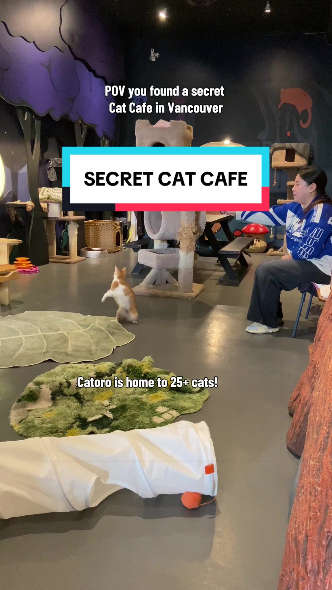 @Catoro Cat Cafe