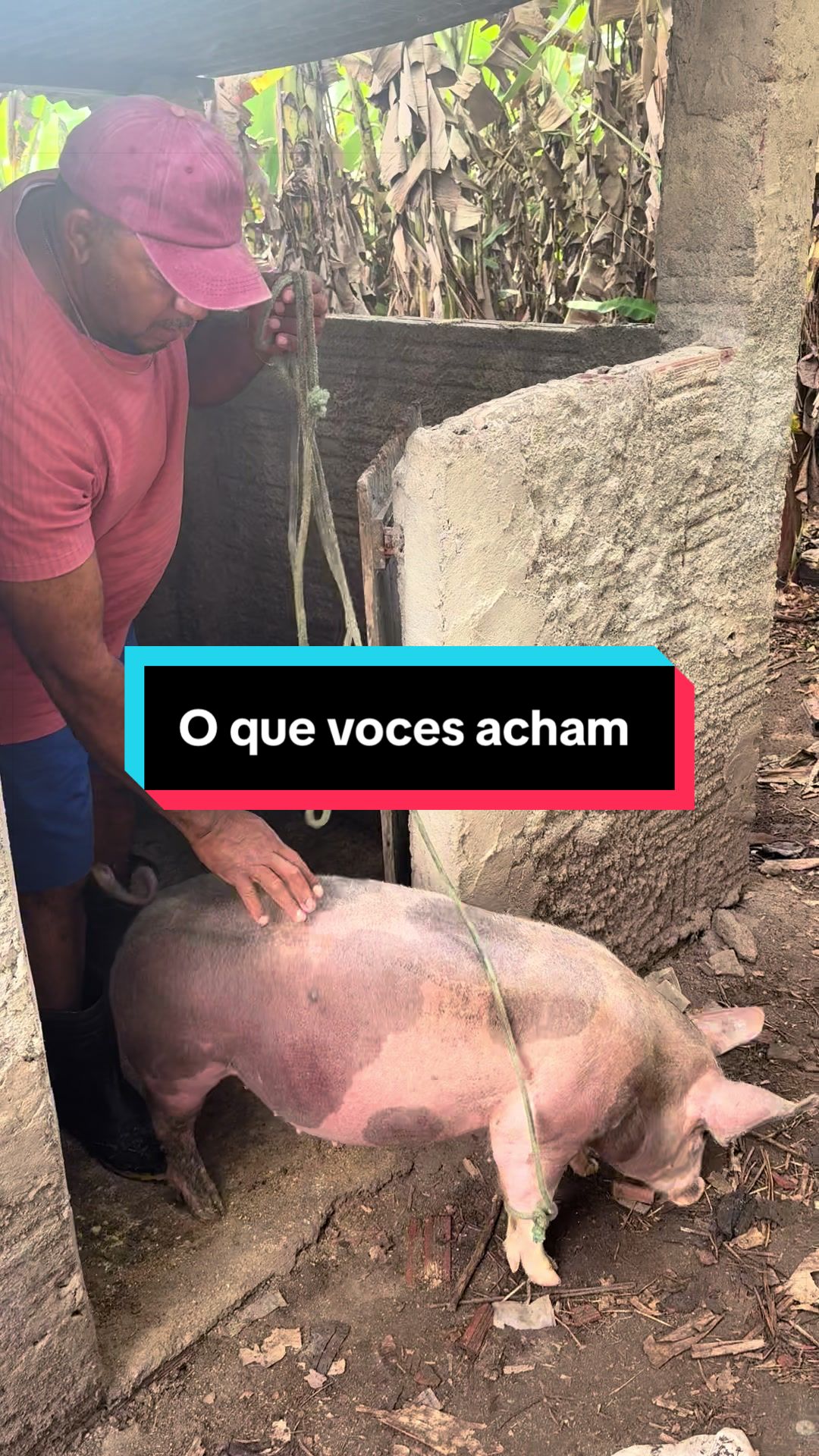 @Antônio Moreno