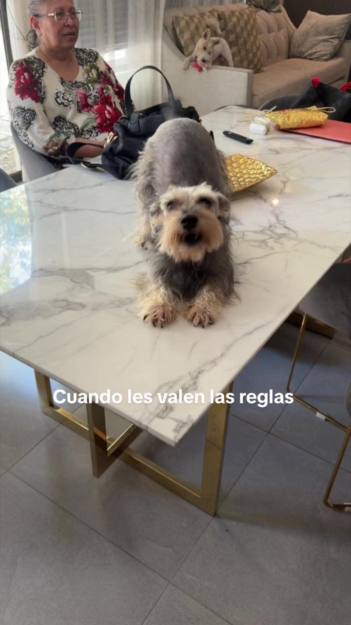 @MayGza