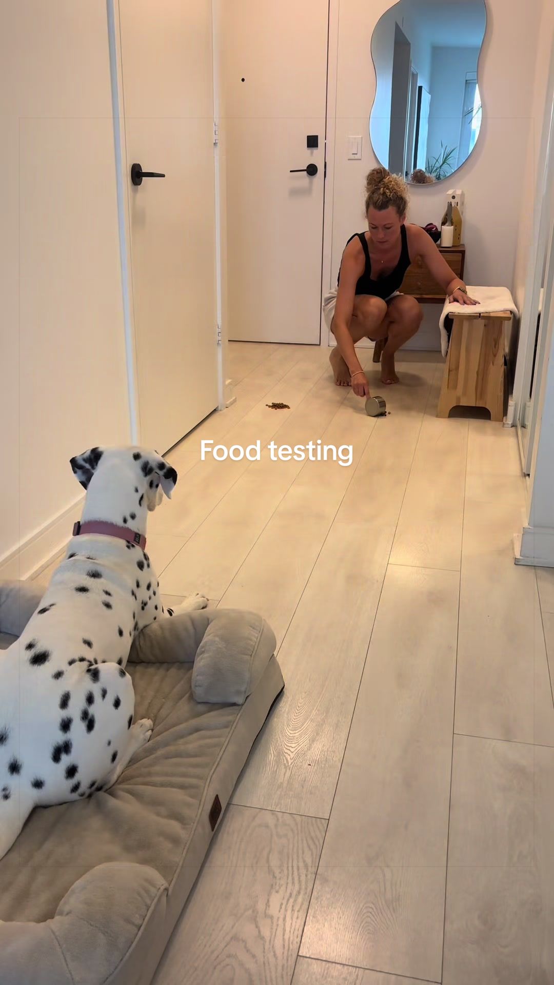 @Nevada the Dalmatian