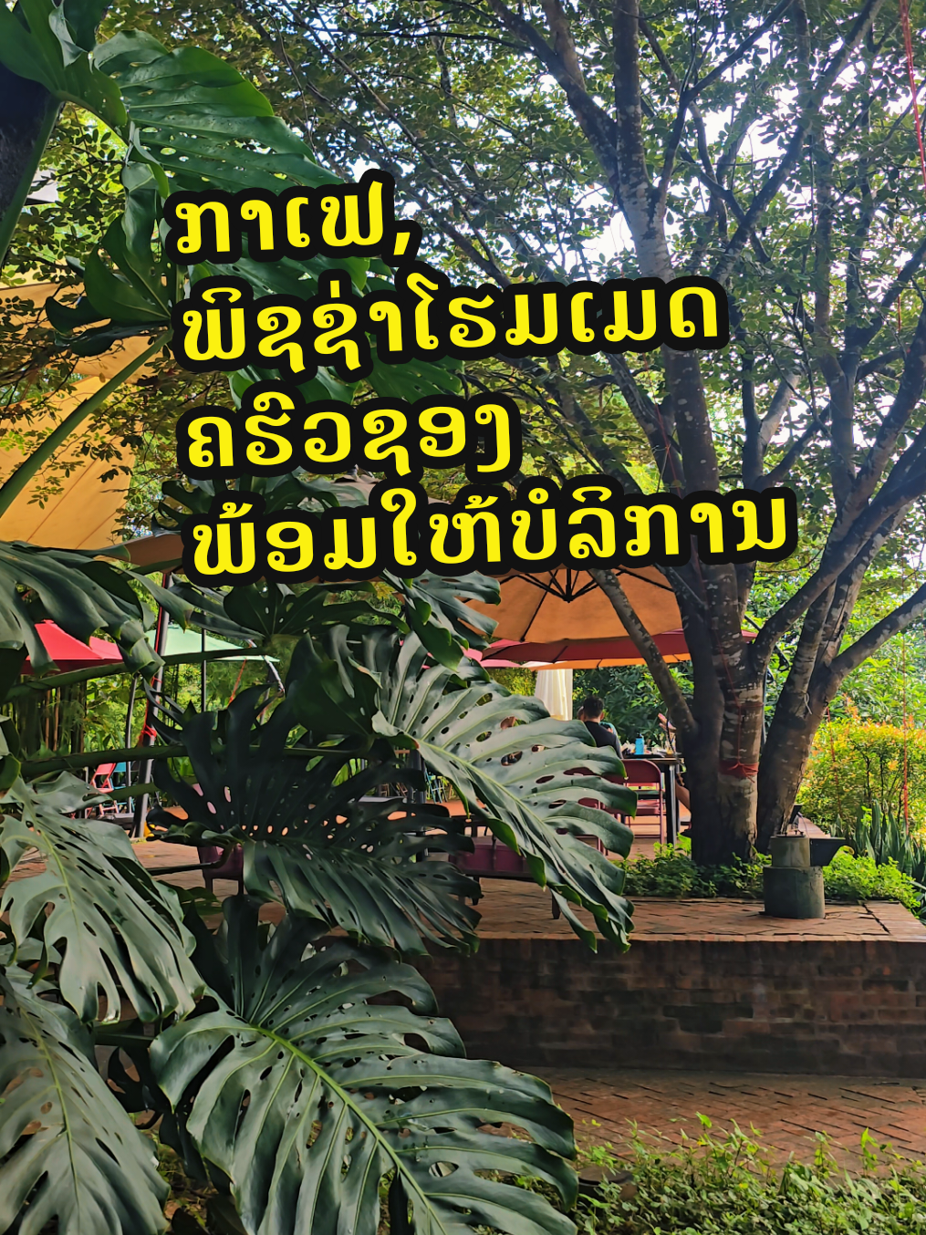 @Switch cafe ສະວິດຈ ຄາເຟ່