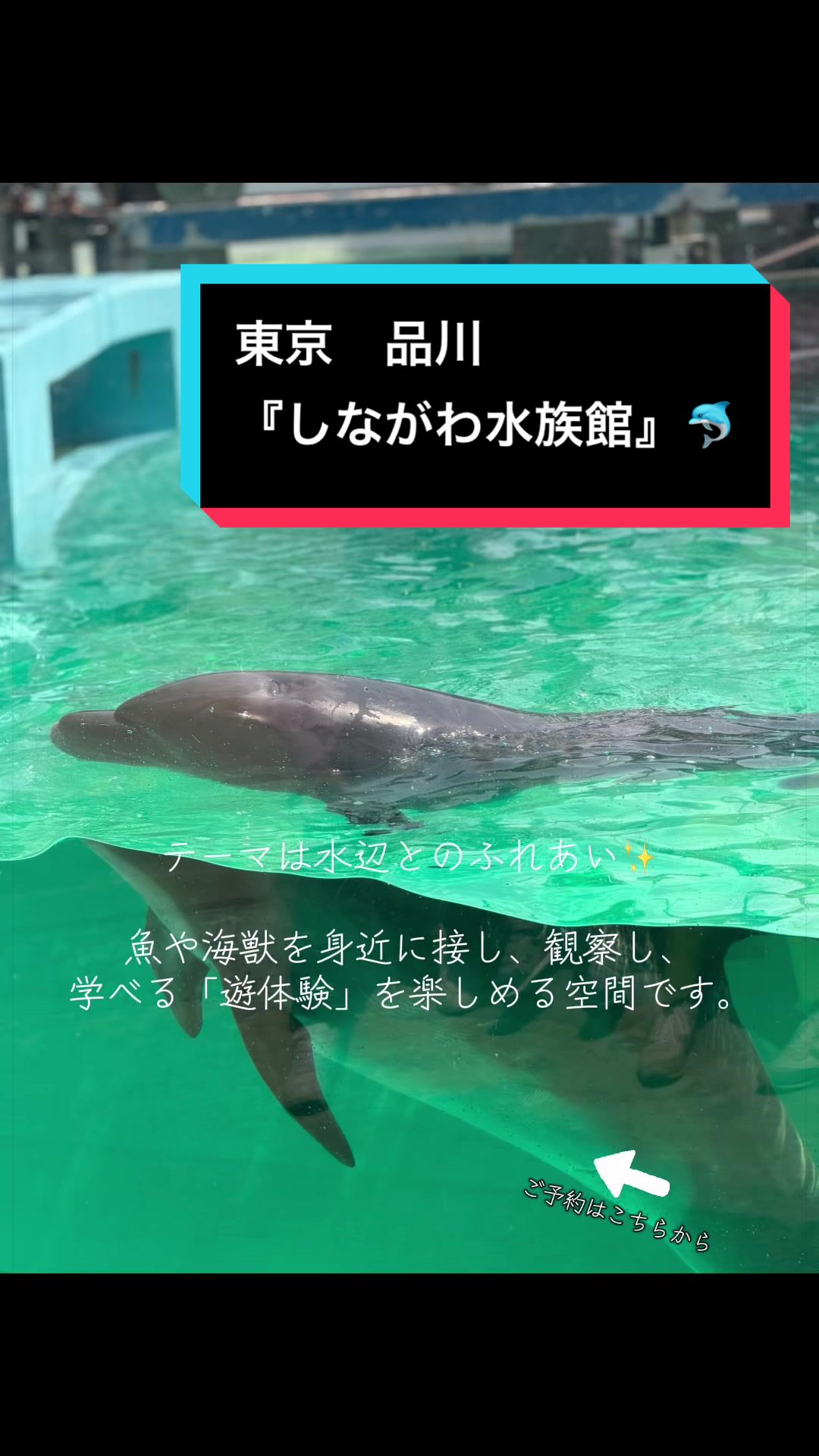 @ルイハナちゃん