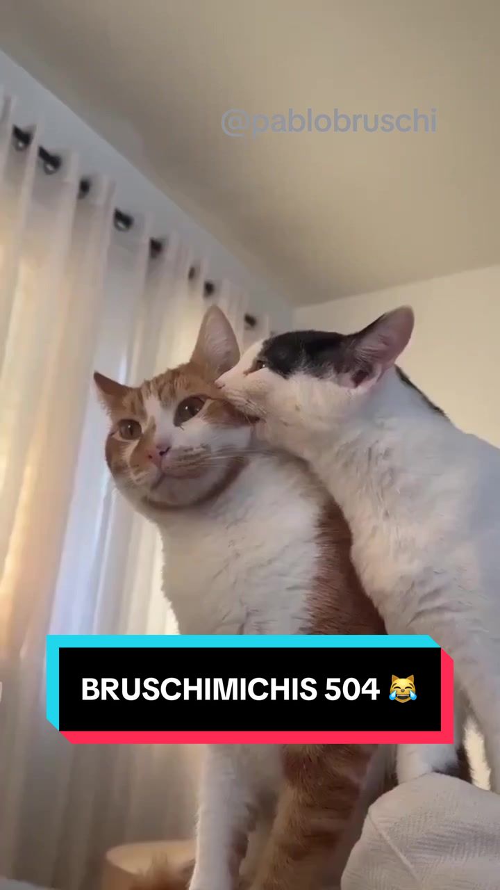 @Pablo Bruschi