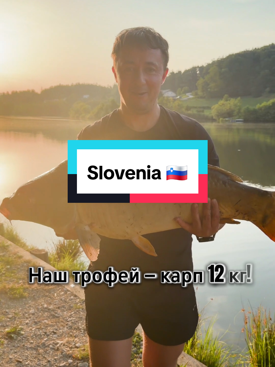 @Aleksander Levchenko