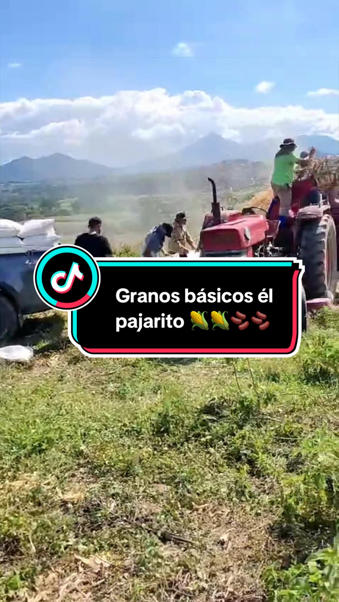 @Granos básicos él pajarito 🌽