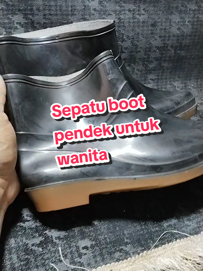 @WONK CEDAL R