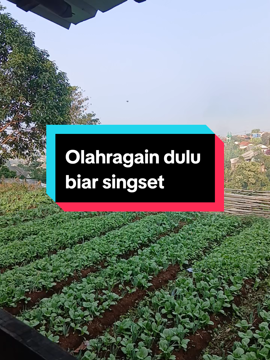 @Dapur Elsa