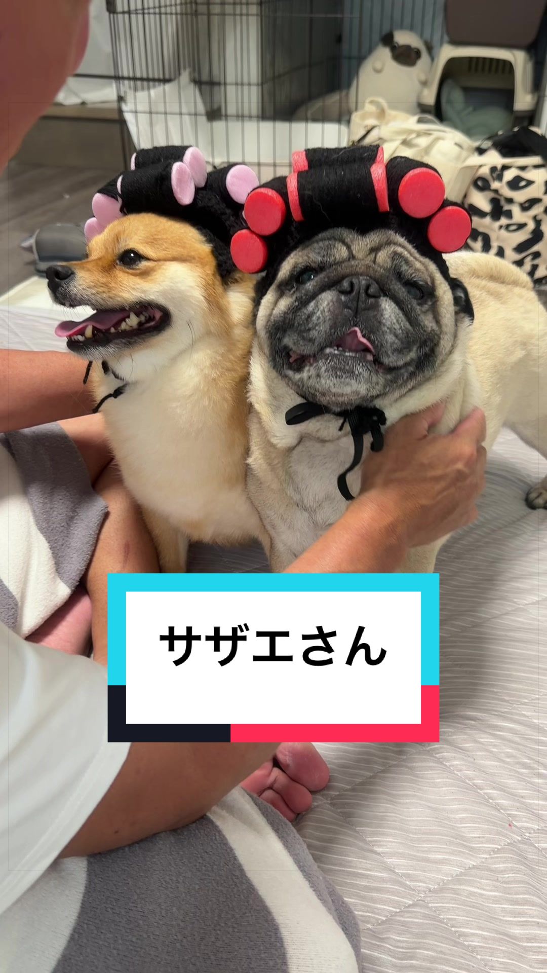 @🐶とん&ぺっぺこぺー🦊
