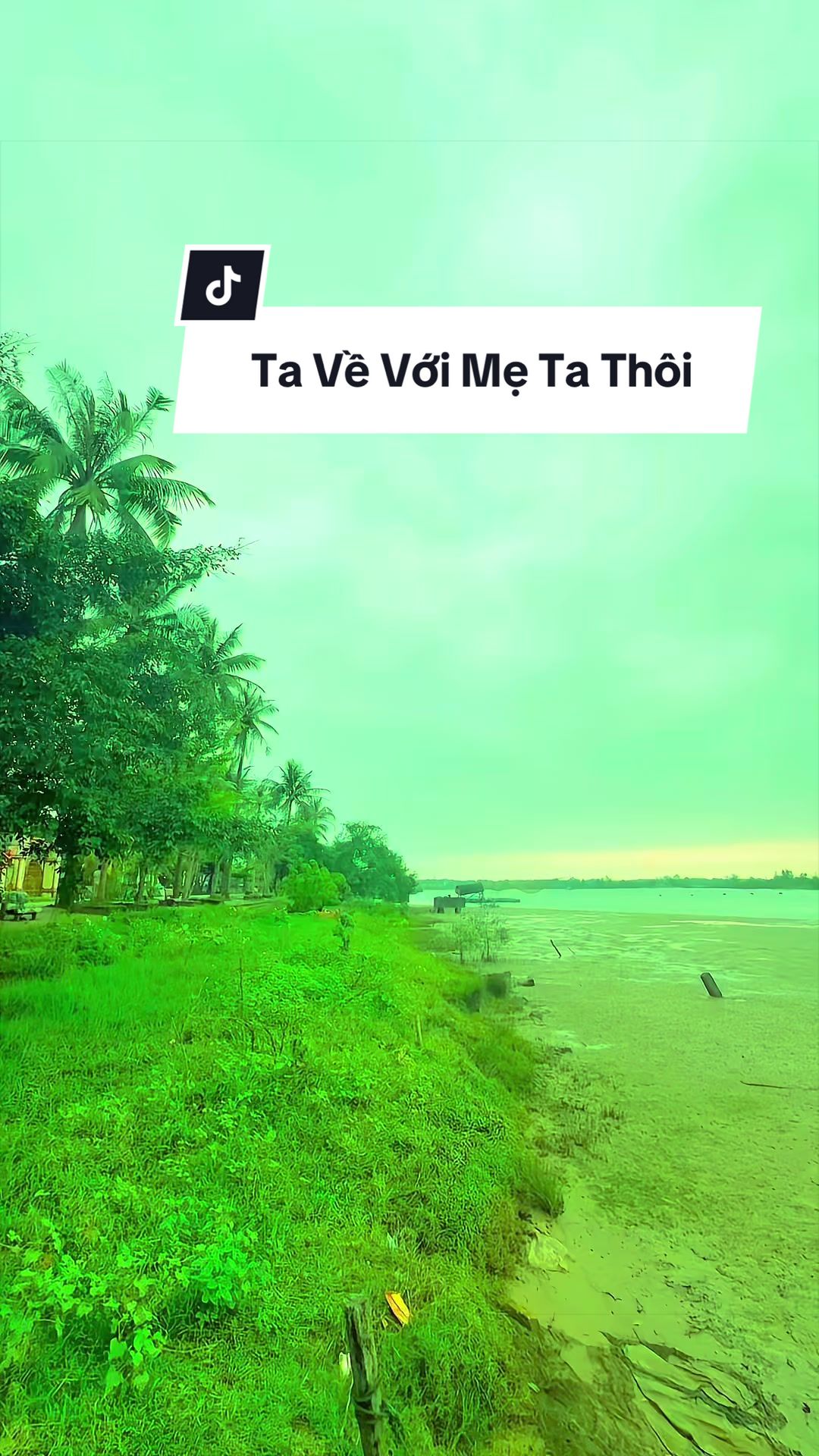 @Nguyễn T&ugrave;ng Sơn