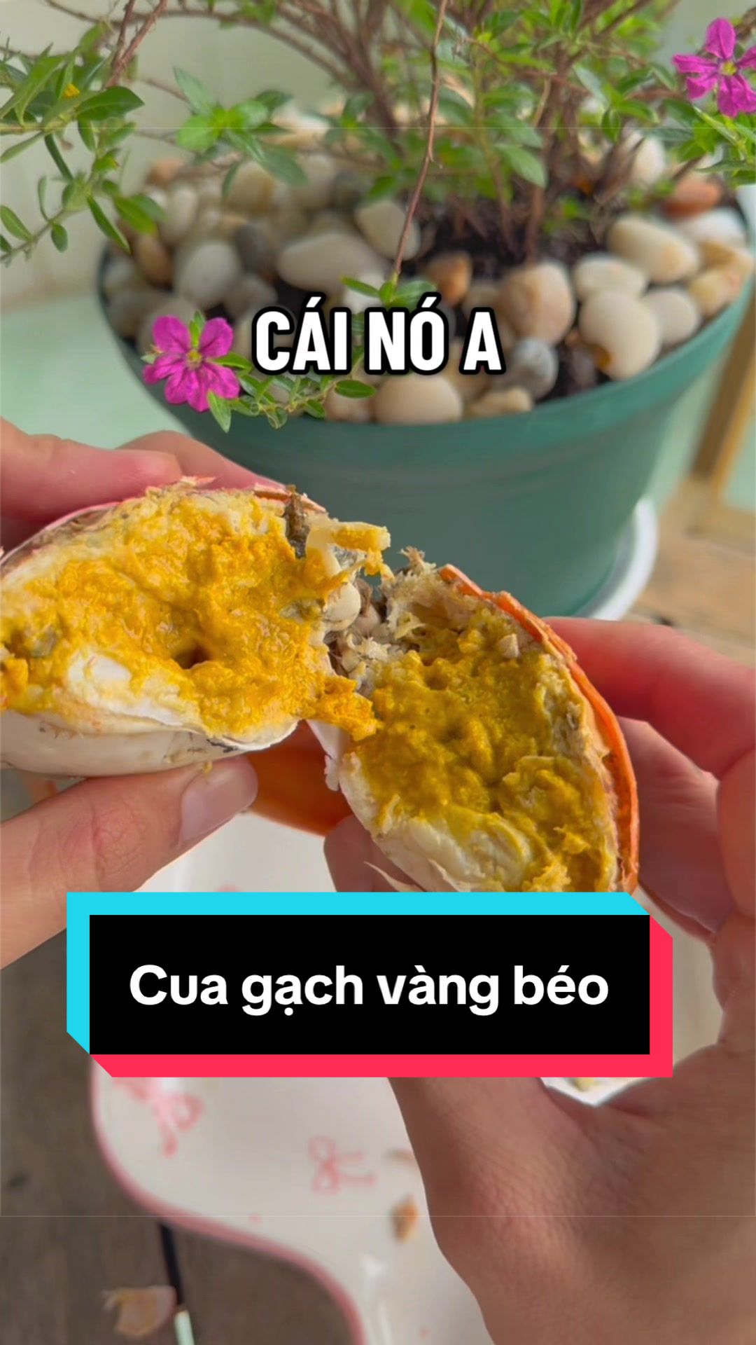 @Tuananh Do