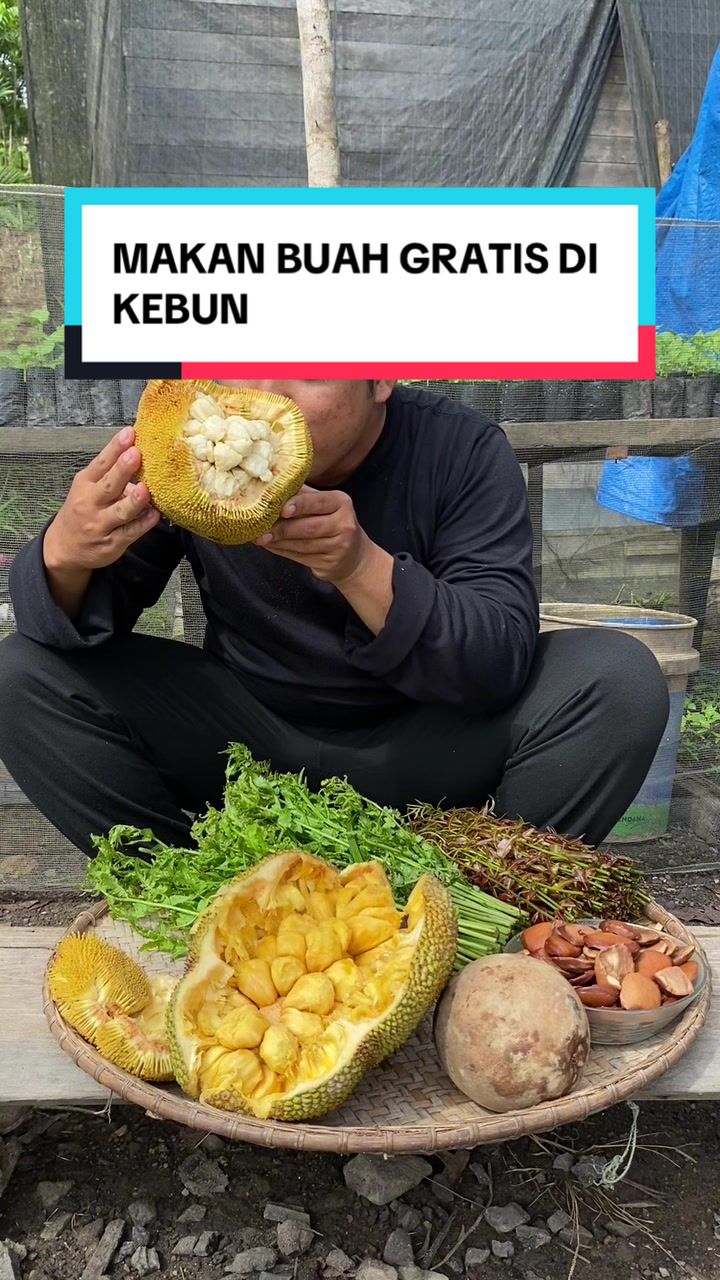 @Konco wiji 2