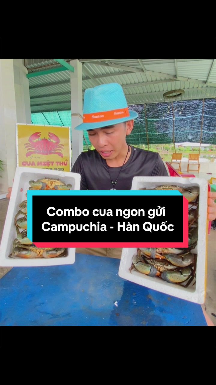 @Tuananh Do