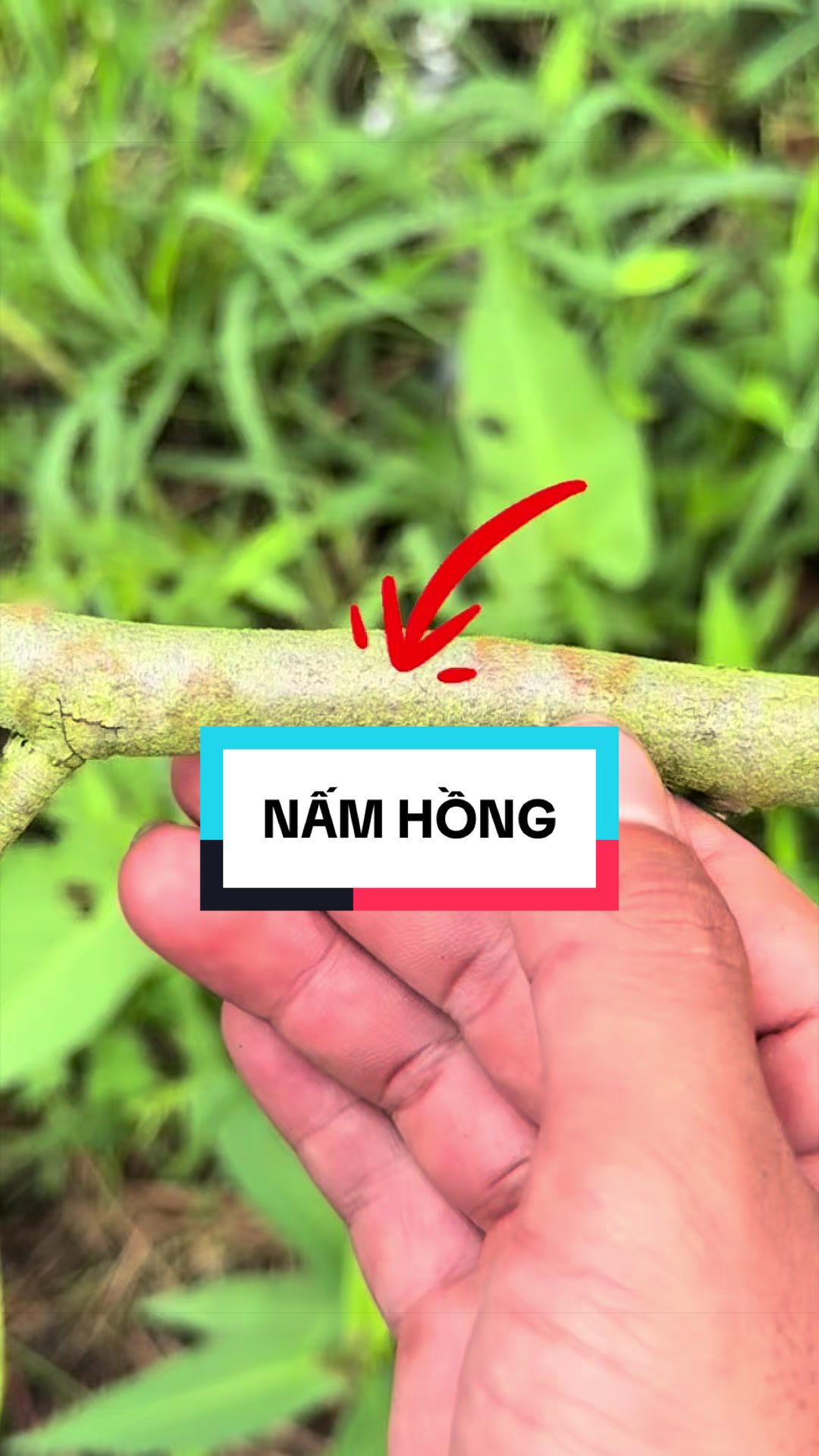 @Hộ Kinh Doanh Hào - Hưng