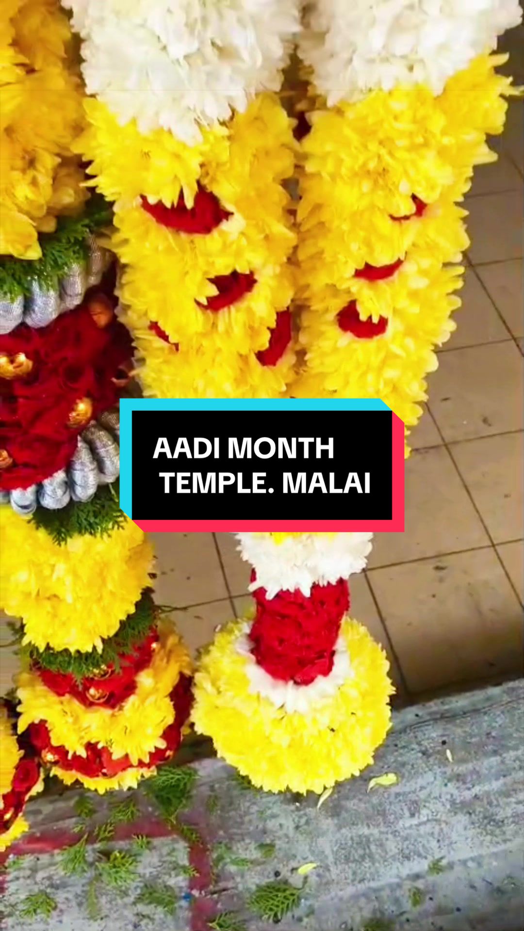@Dynamic Florist