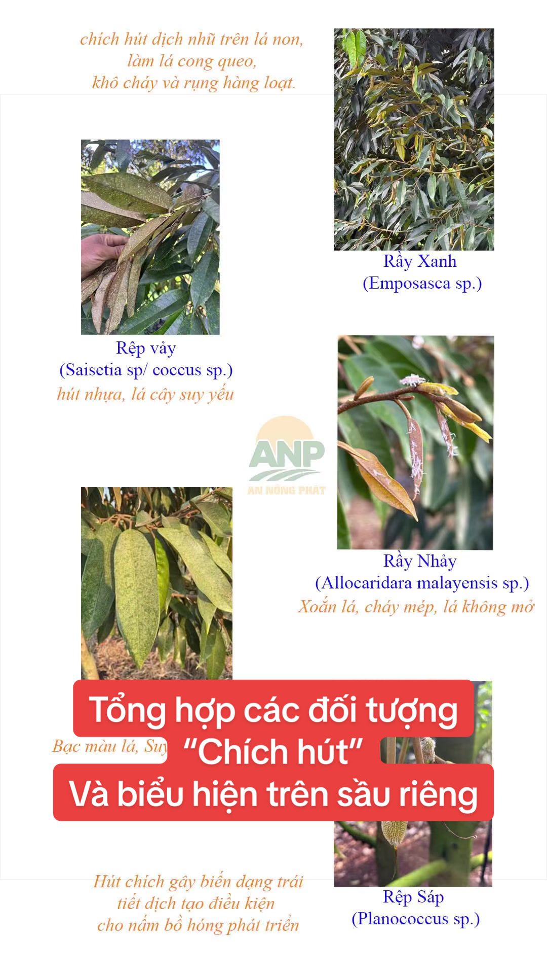 @H&acirc;n chuy&ecirc;n b&aacute;n ph&acirc;n thuốc