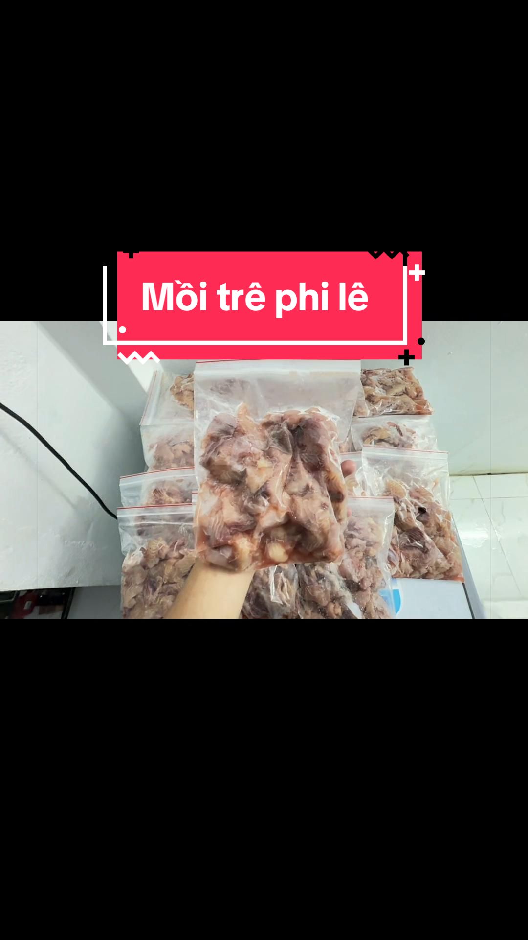@Phát Đạt Bán Cá 😎🐠🦈