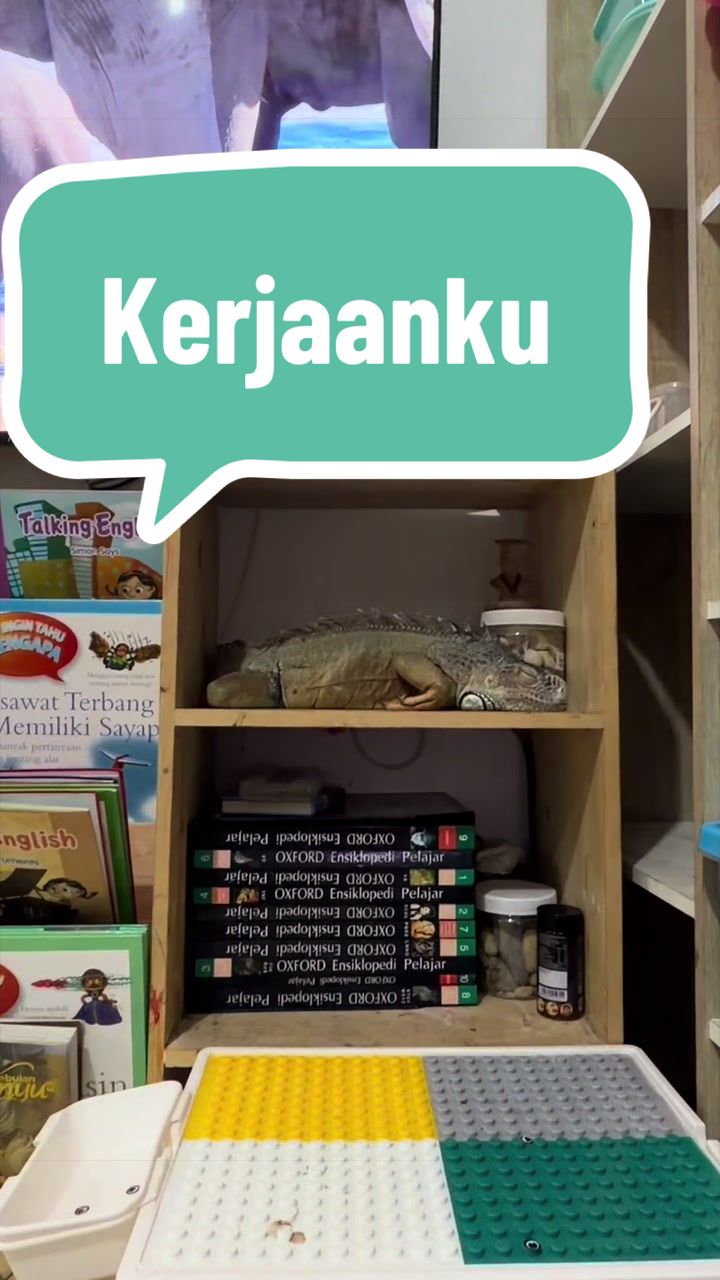 @Pet Journal Space