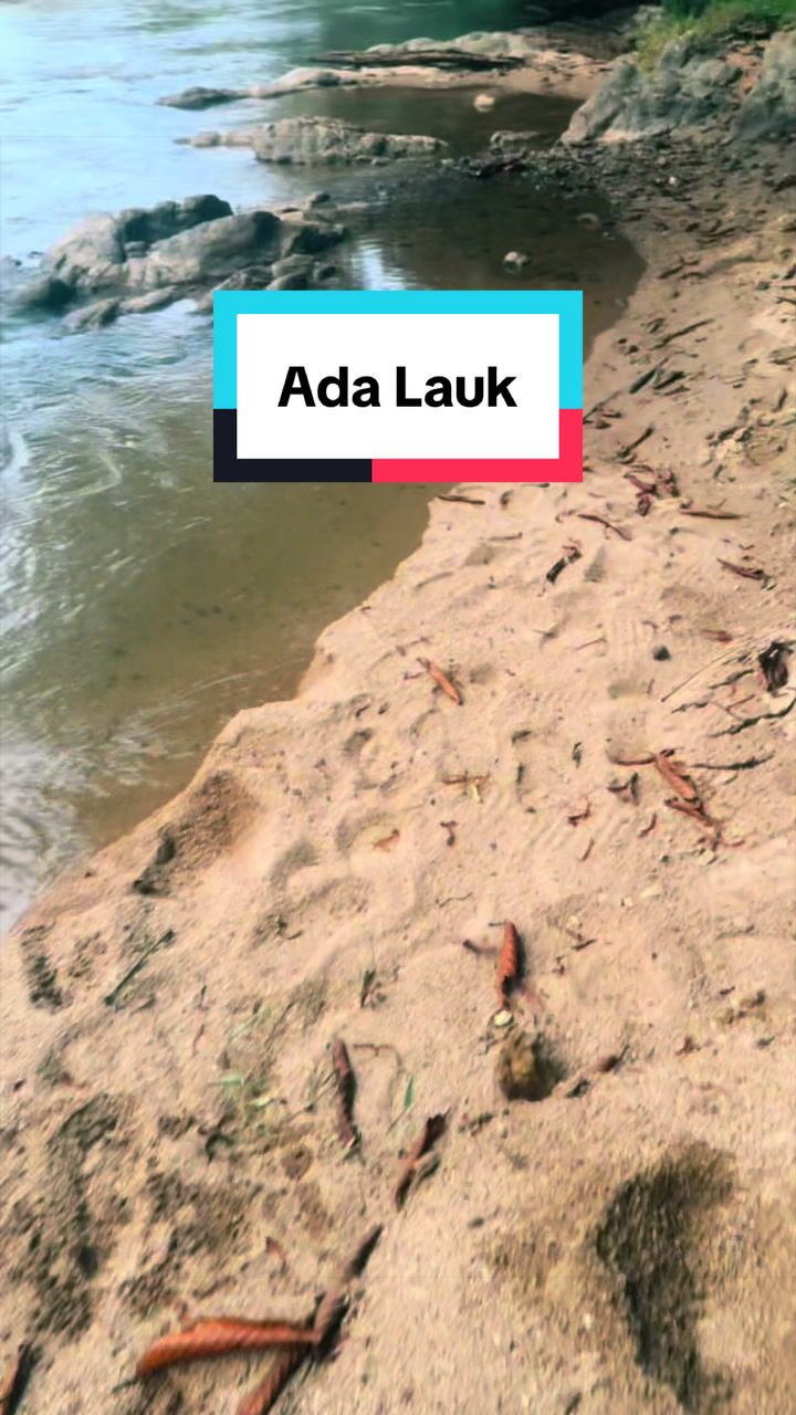 @Jangan Lokoh