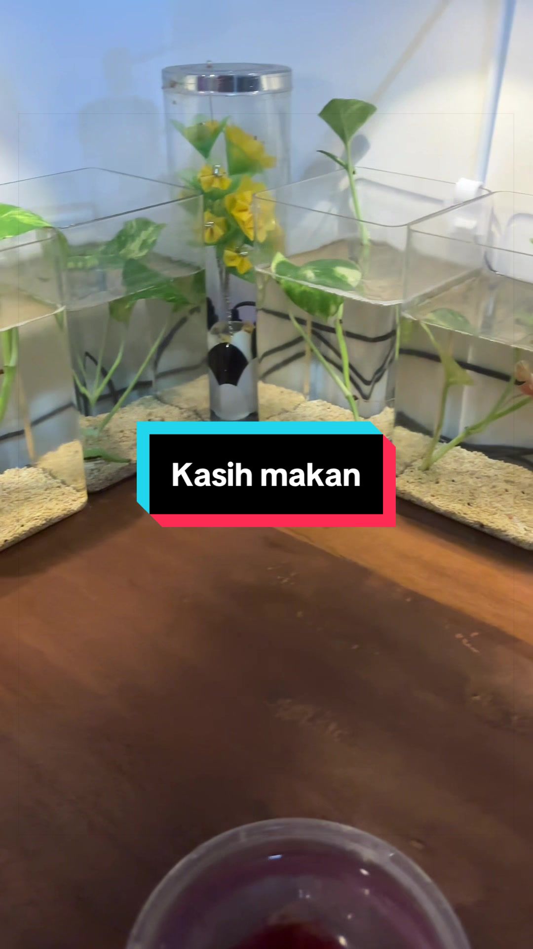 @bayu