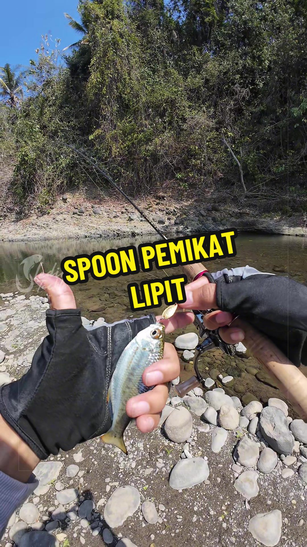 @Sleding Tackle