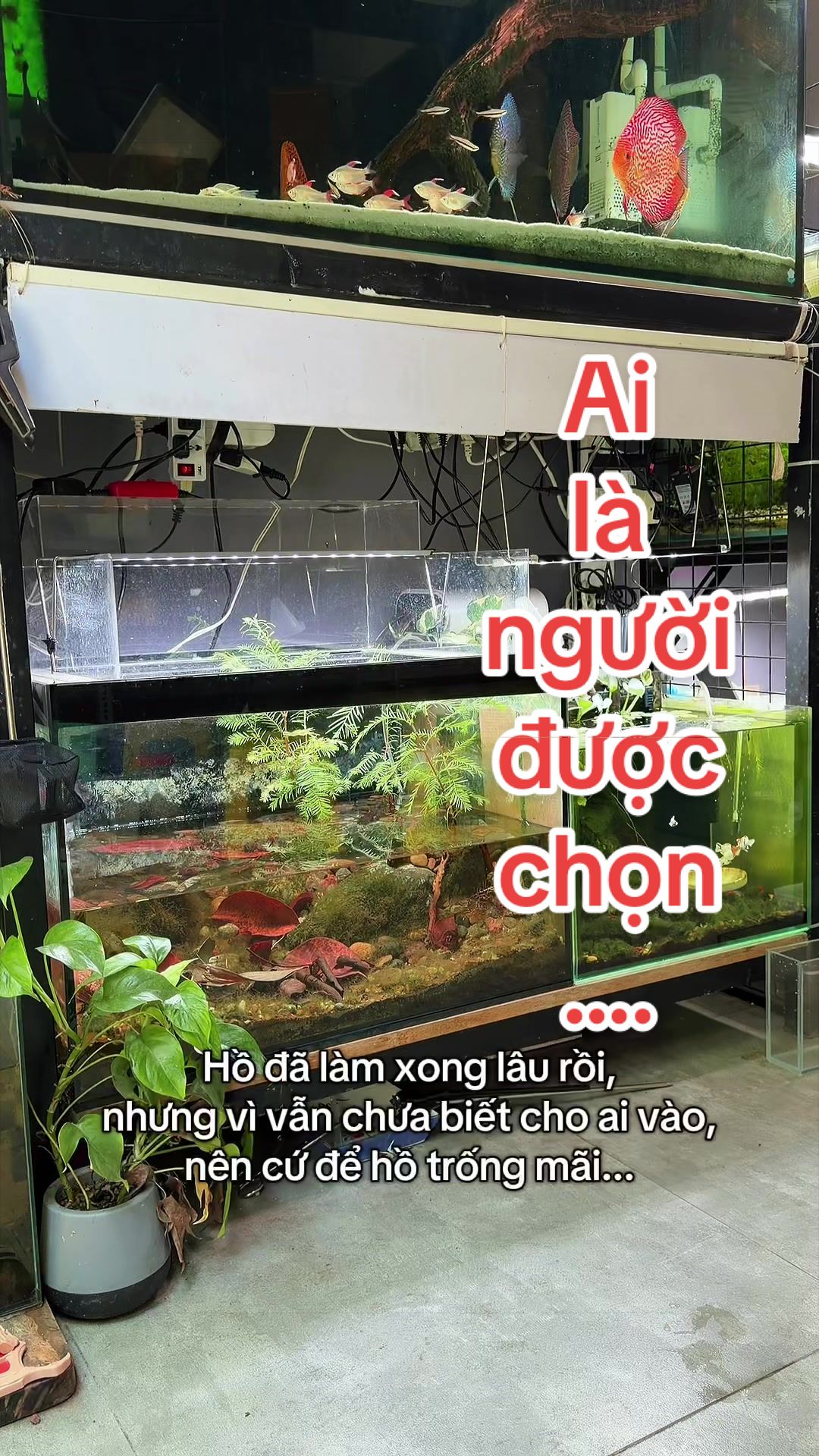 @Simple Tank
