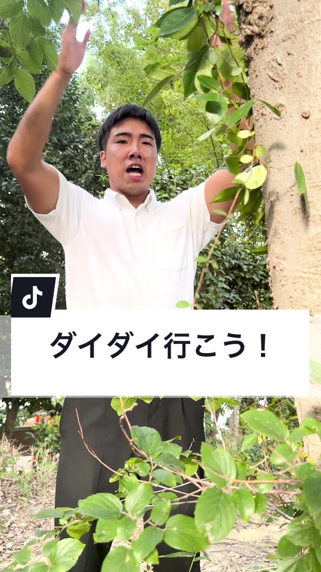 @ジャンキソウ🐺