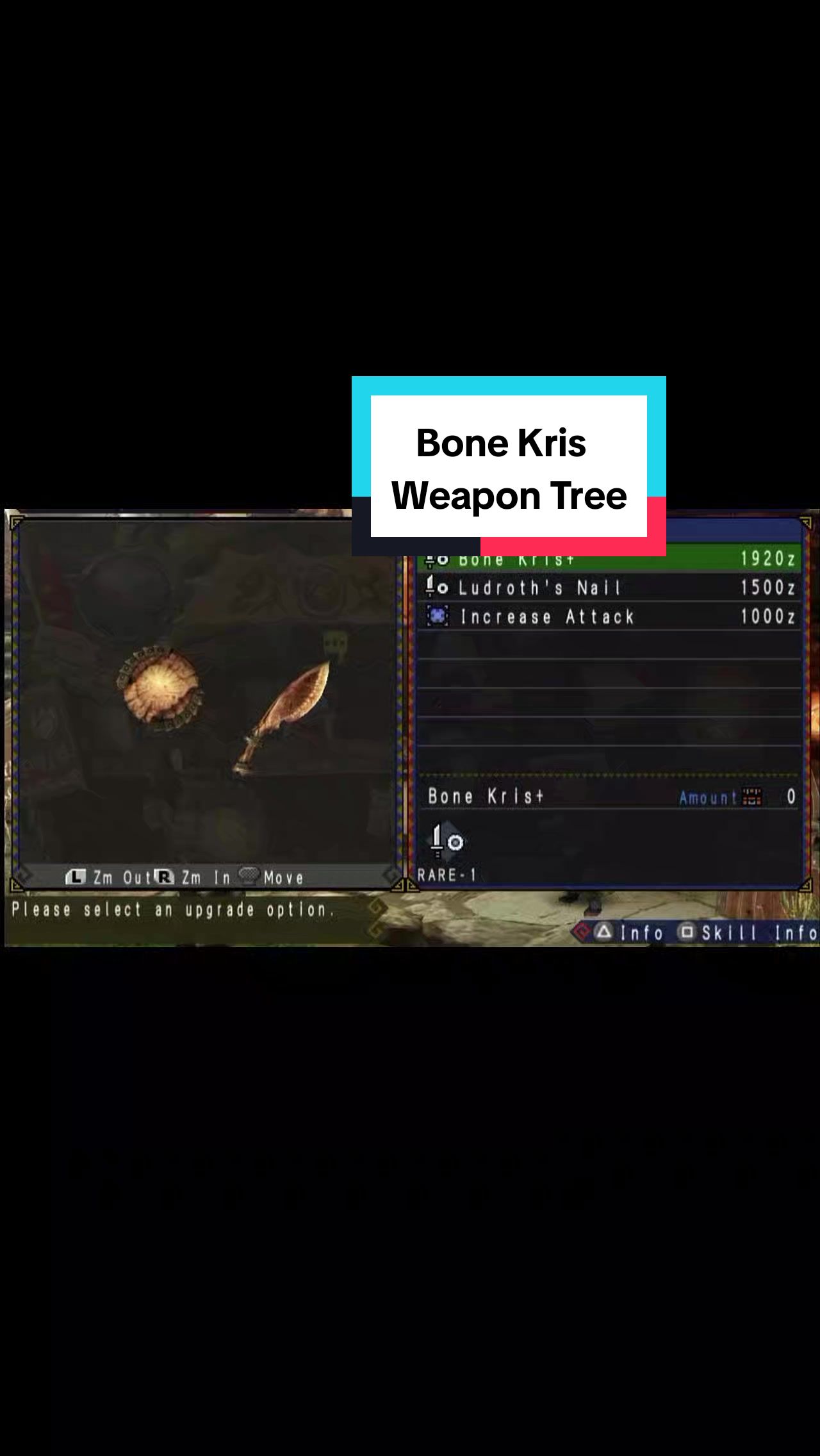 @Monster Hunter Portable 3rd