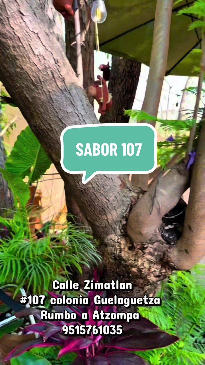 @Sabor 107