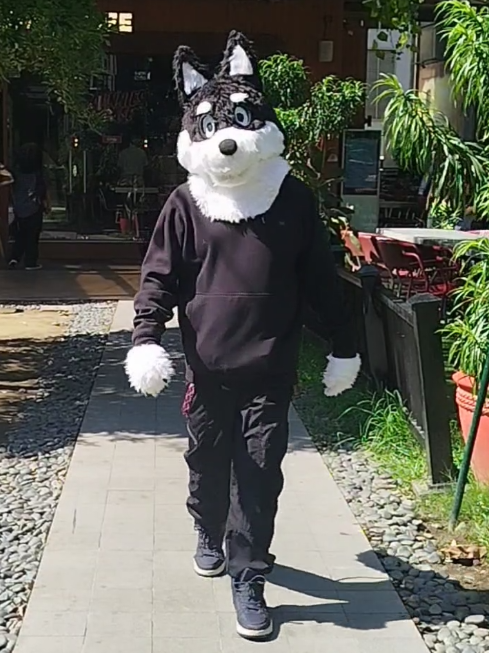 @Katsukatsu!