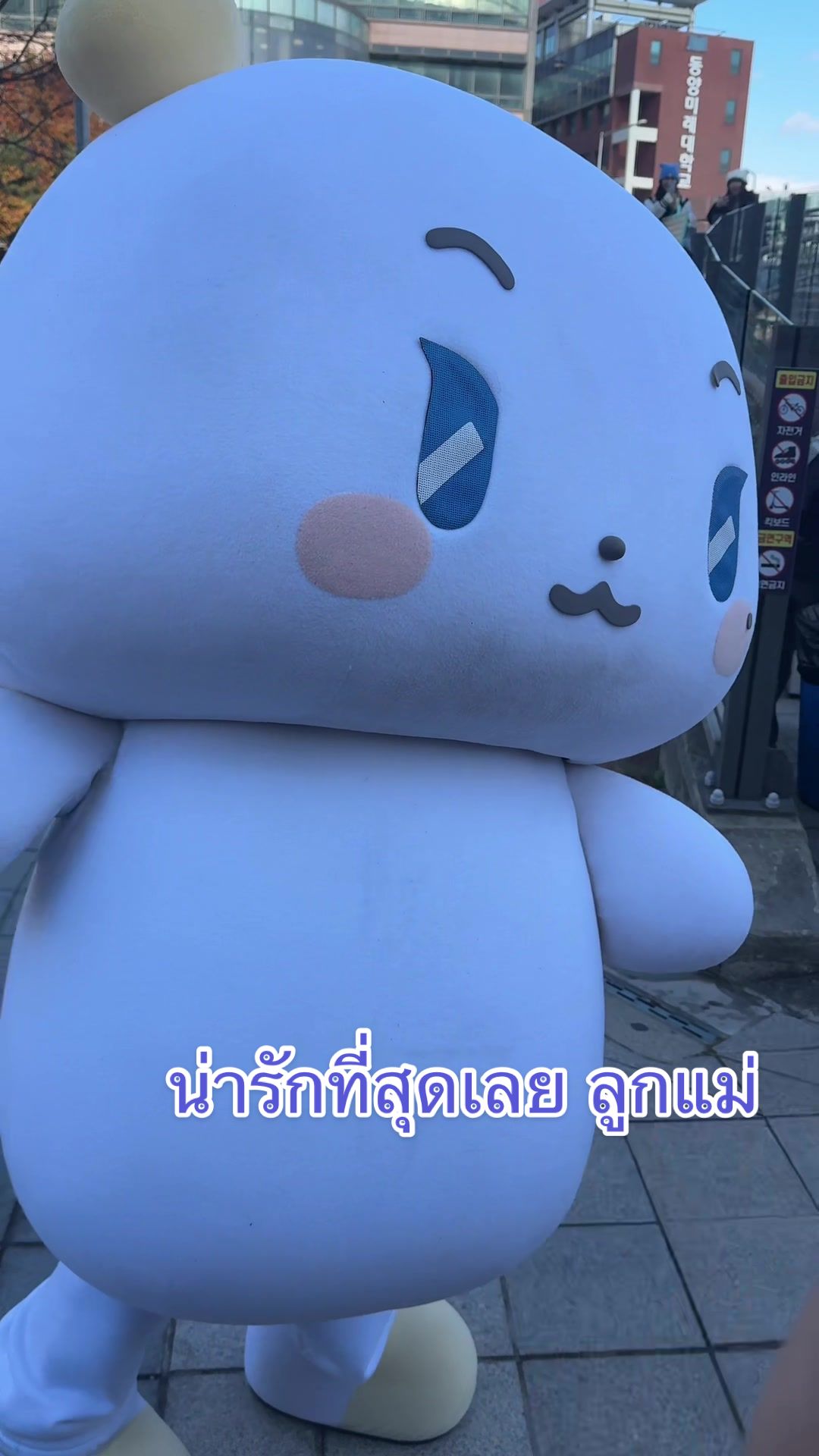 @🐰มิ้นยอลรักเยจุน💙