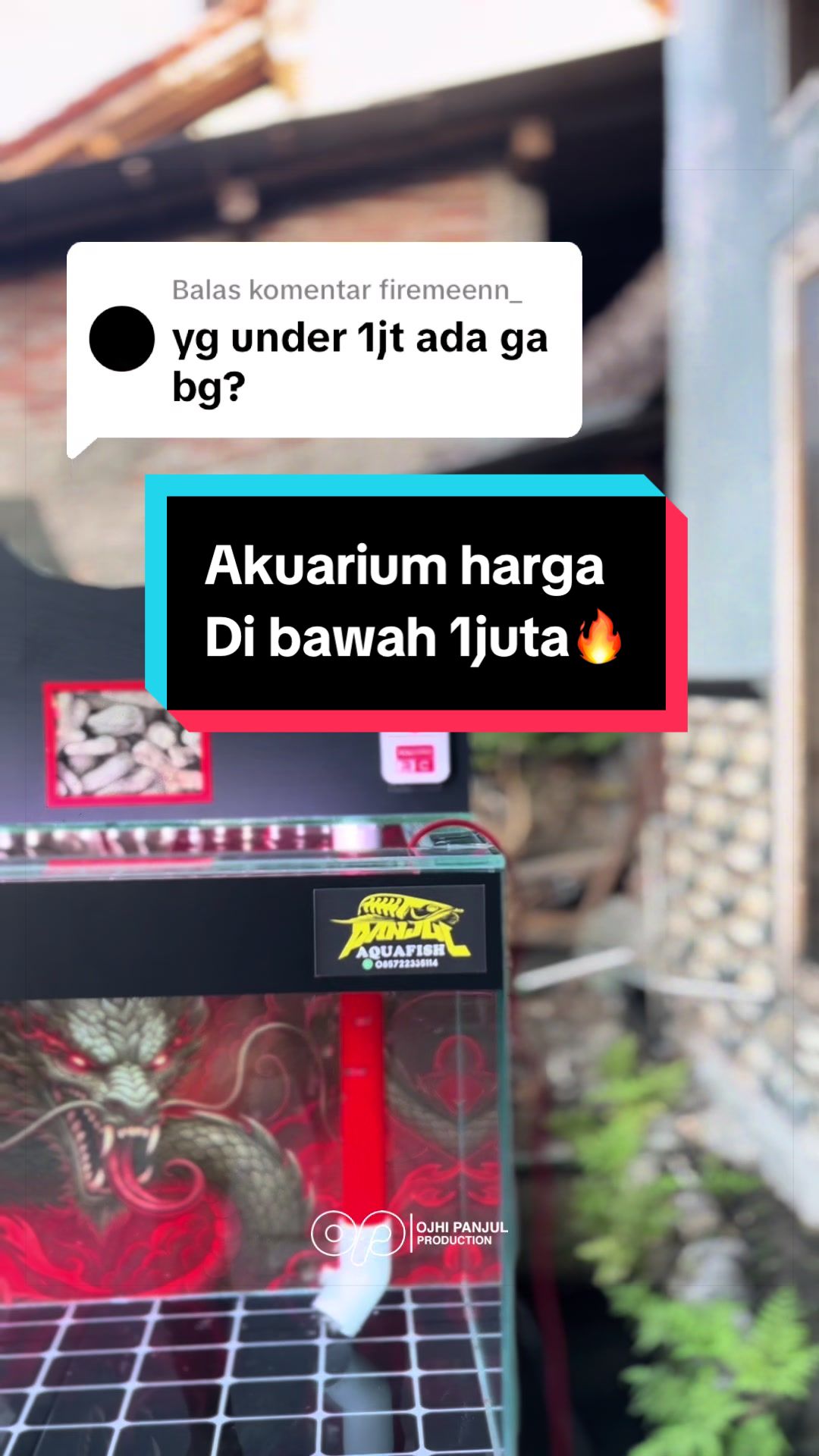 @Panjul Aquafish
