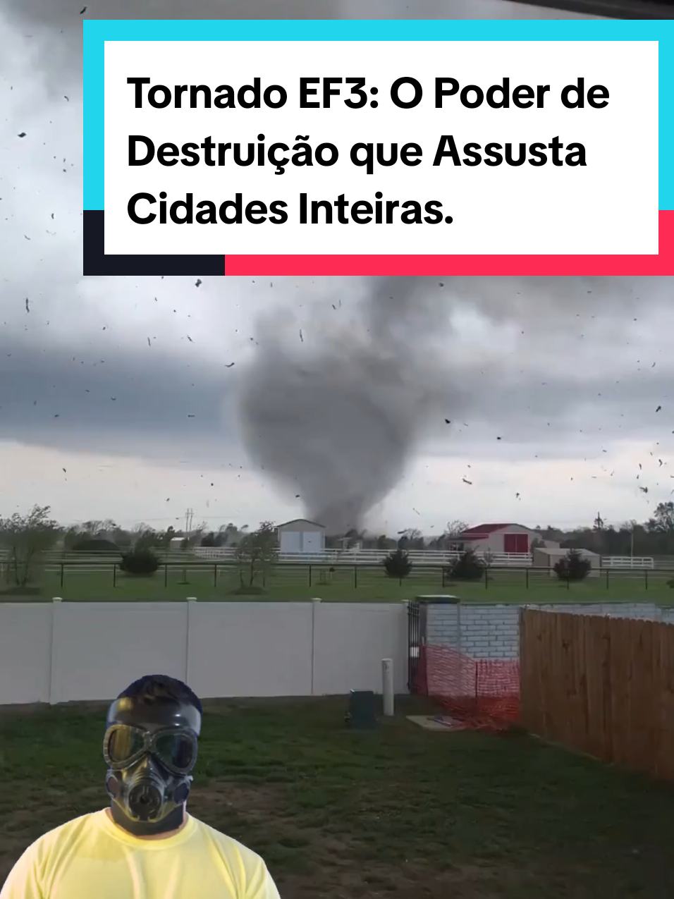@Mundo da Curiosidades