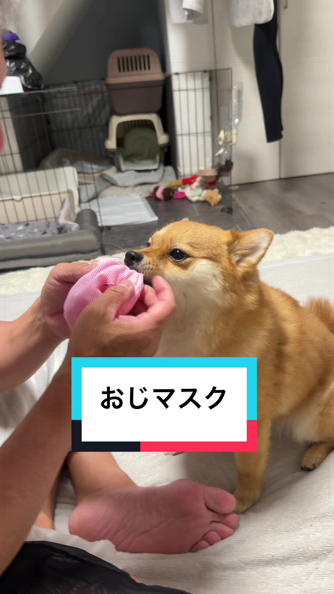 @🐶とん&ぺっぺこぺー🦊