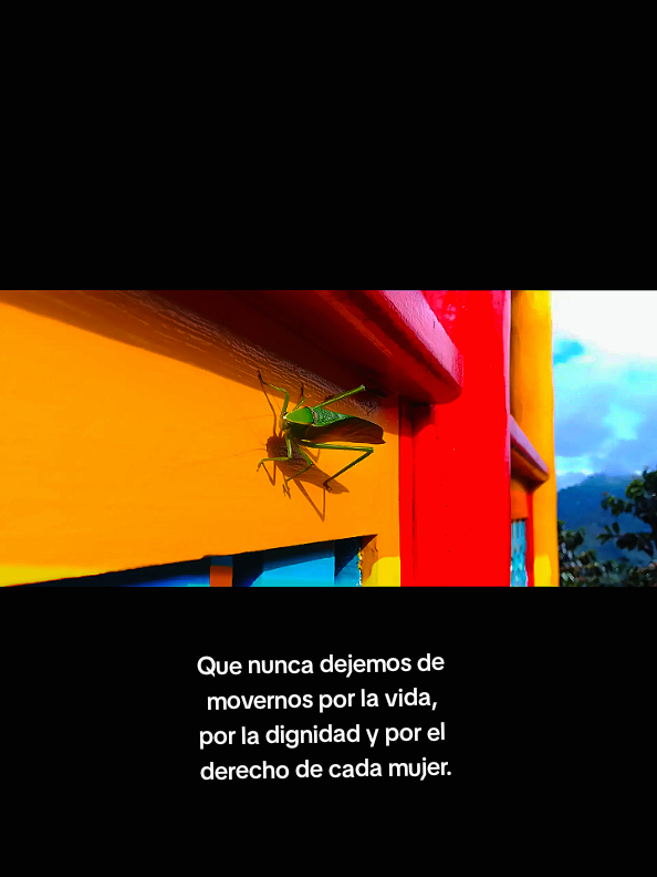 @Yuliana Salazar Galeano