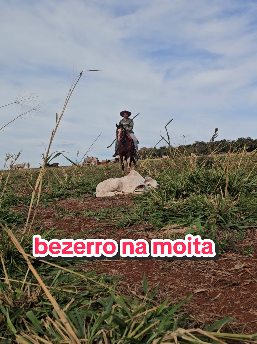 @Geovane neto