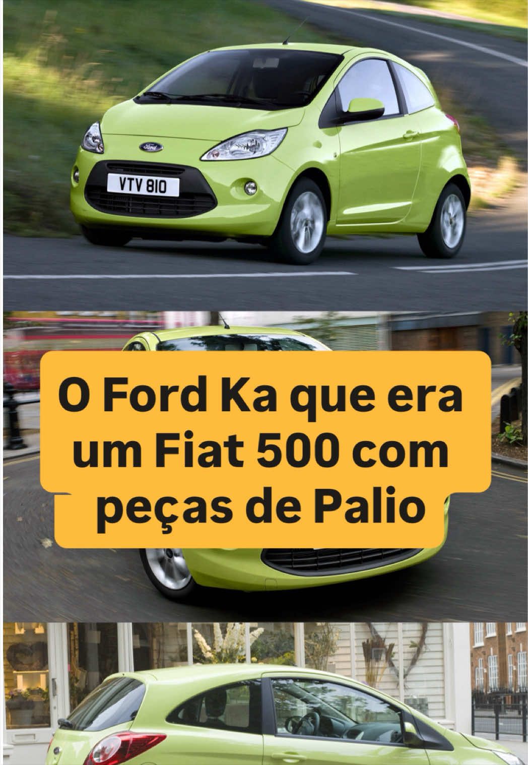 @João Brigato