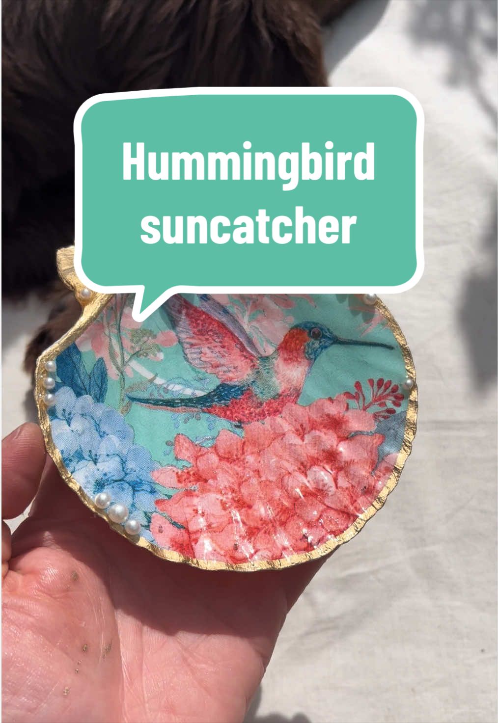 @Dusty J Designs | Shells